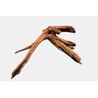 Mangrove Aged Wood Large